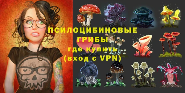 МДМА Арсеньев