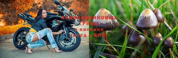 МДМА Арсеньев
